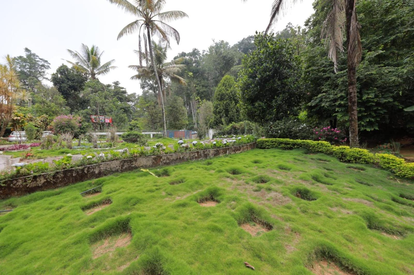 Green Shades Munnar Luaran gambar