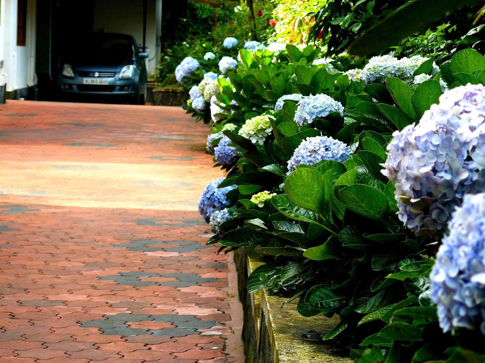 Green Shades Munnar Luaran gambar